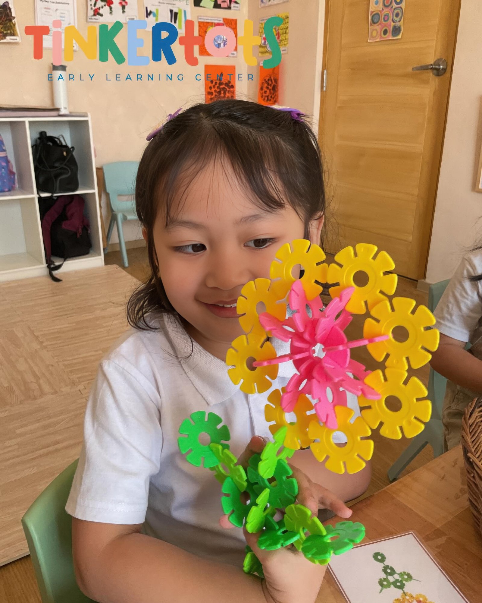 Curriculum development